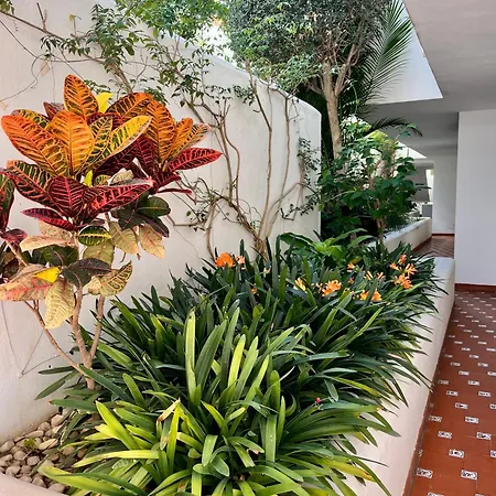 Apartment On The Heart Of Few Minutes From The *